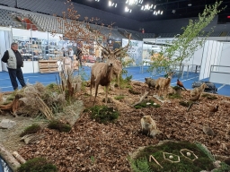 557245702_1367471592050165_2545668743377027796_n